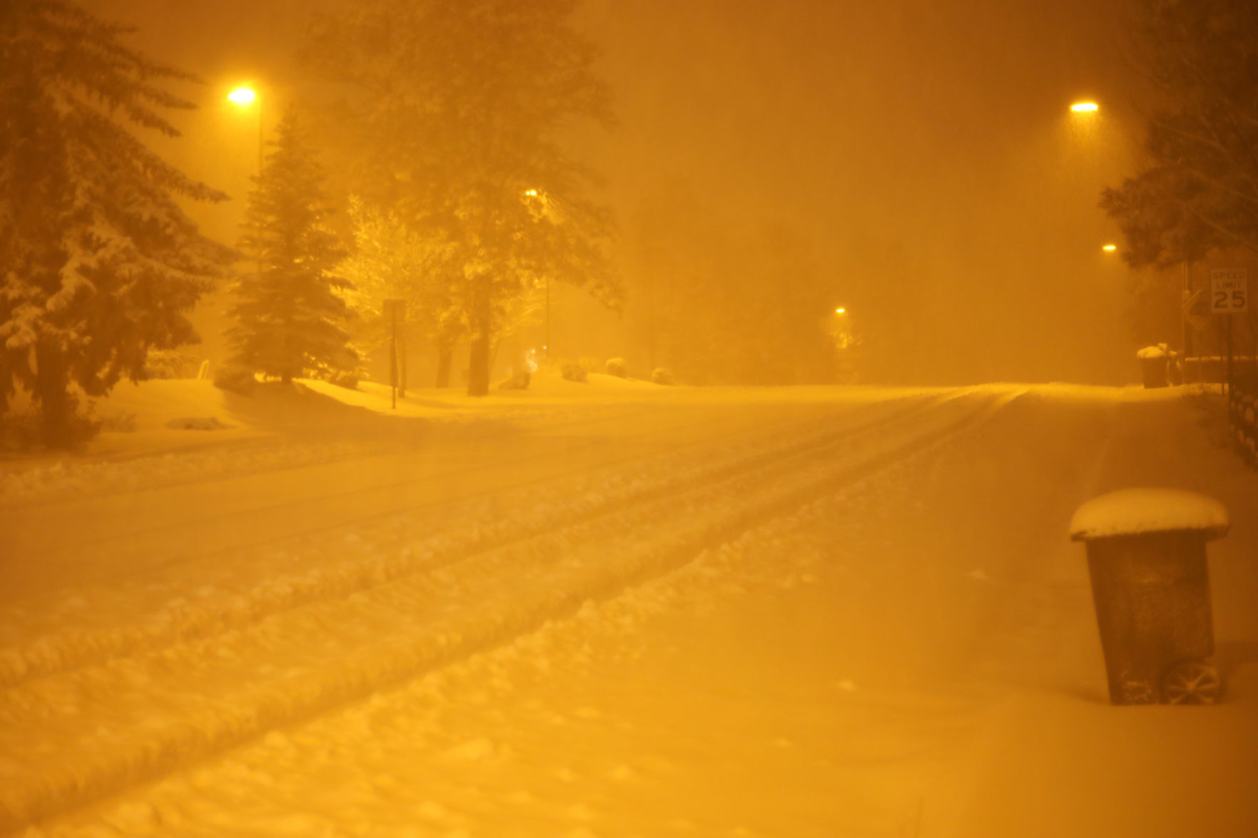 Black Friday snow
